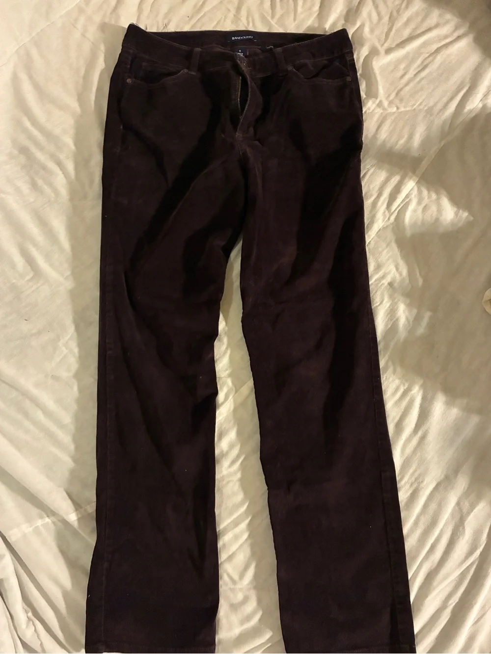 Bandolino Men’s Dark Brown Corduroy Pants